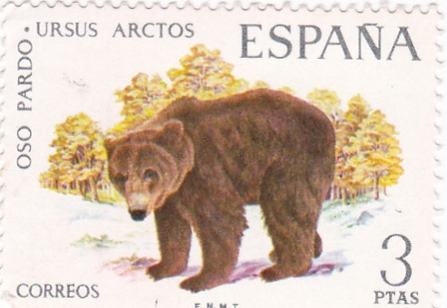 FAUNA HISPÁNICA- Oso Pardo     (Q)