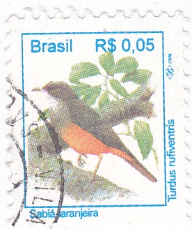 AVE- TURDUS RUFIVENTRIS