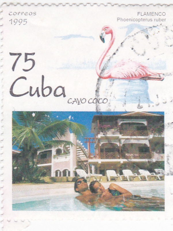 AVE- FLAMENCO Y Cayo Coco