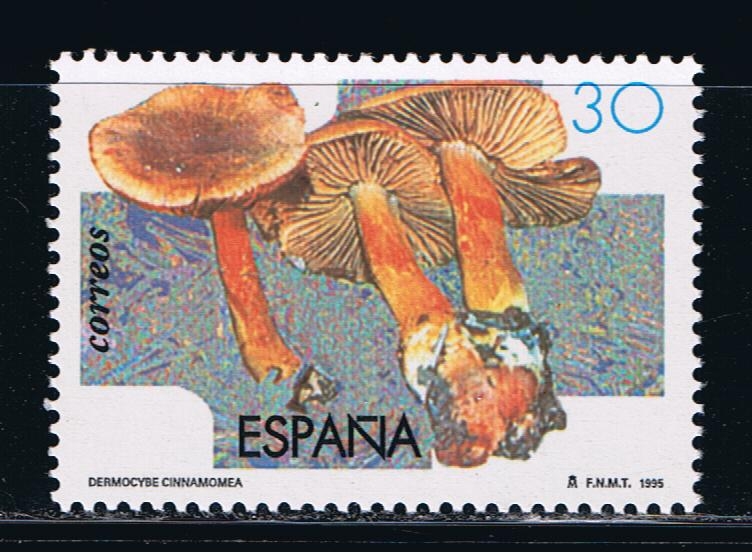 Edifil  3342  Micología.  