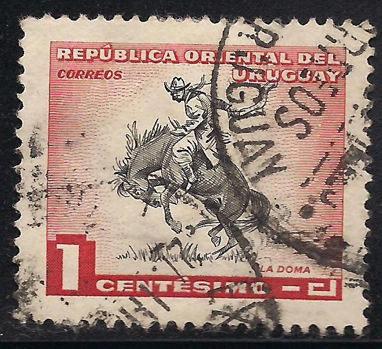 Domador de caballos.