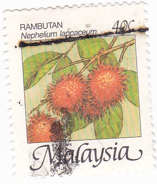 FRUTAS- Rambután