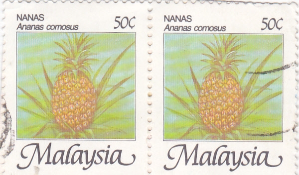 FRUTAS- Piña