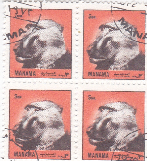 ANIMALES SALVAJES- MANAMA