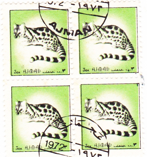 ANIMALES SALVAJES- AJMAN