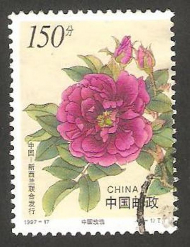 3510 - Flor rosa 