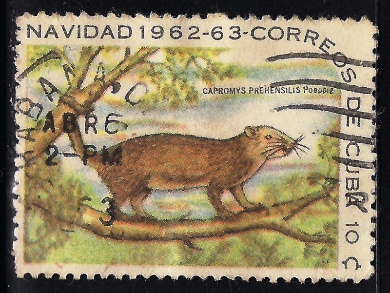 CAPROMIS PREHENSILIS
