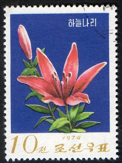 Flowers.  