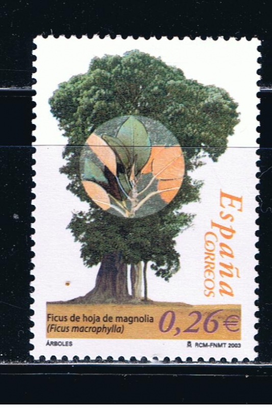 Edifil  4022  Arboles.  