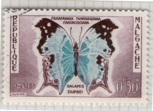 8 Salamis Duprei