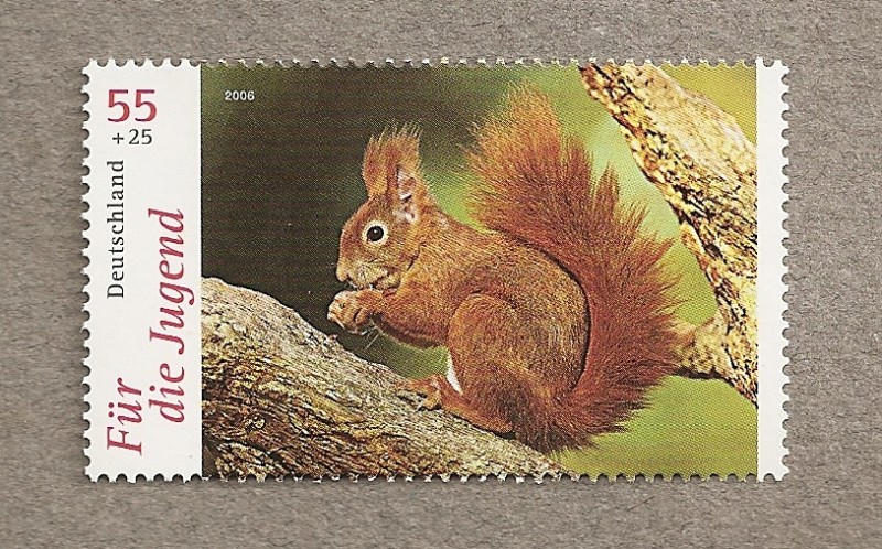 Ardilla (Para la juventud)