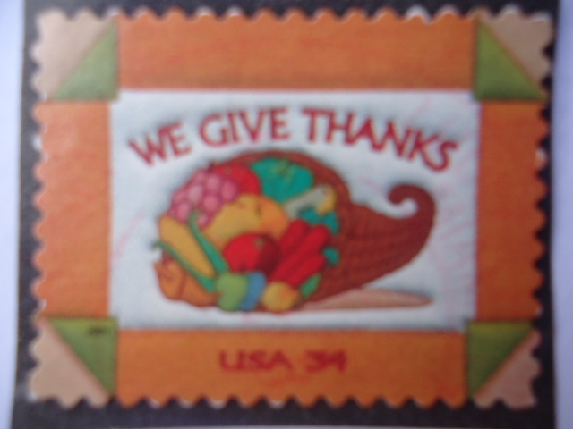 We Give Thanks - damos gracias.