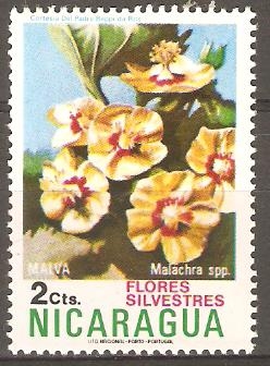 FLOR  SILVESTRE.   MALVA