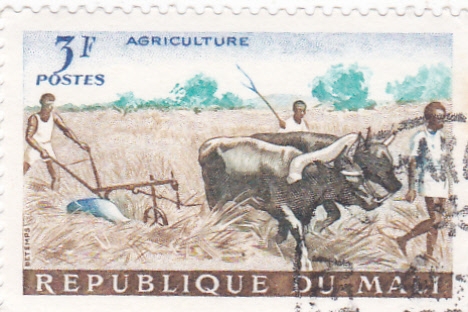 AGRICULTURA