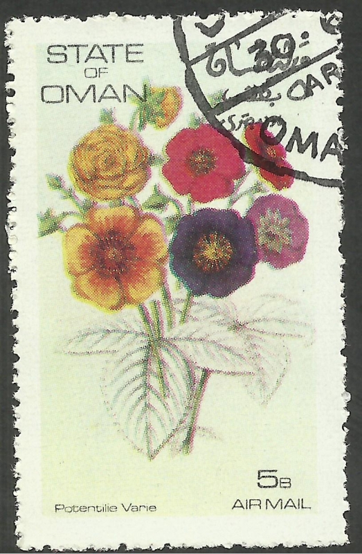 Flores, flora