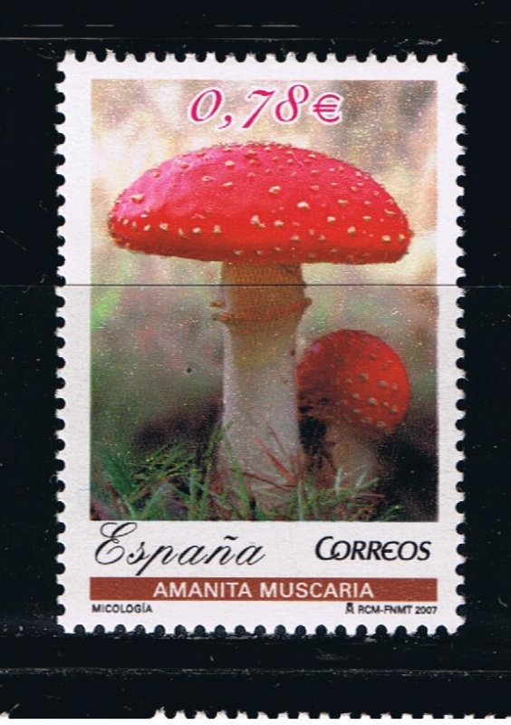 Edifil  4338  Micología.  