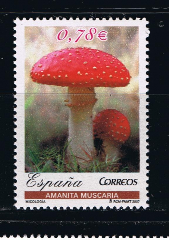 Edifil  4338  Micología.  
