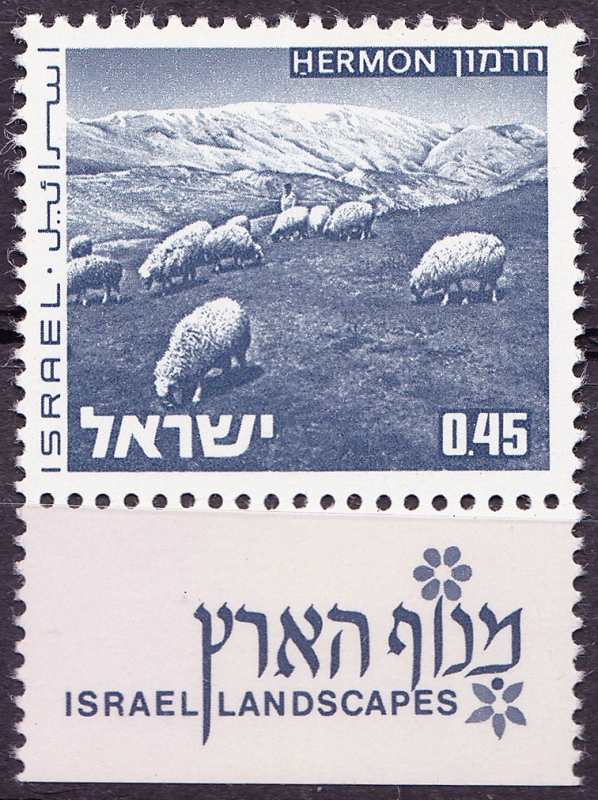 Hermon