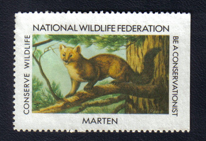 Fauna