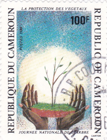 Jornada Nacional de la protección de los arboles