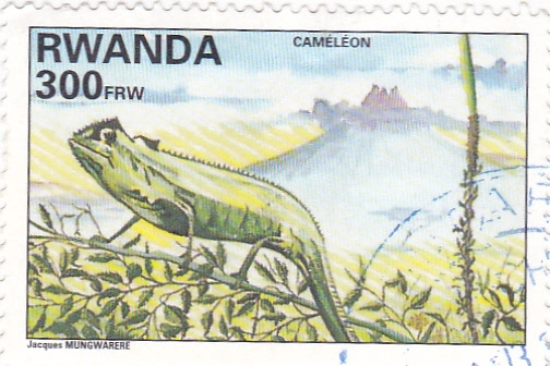 CAMALEÓN