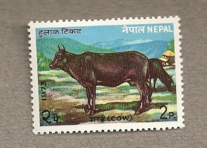 Vaca