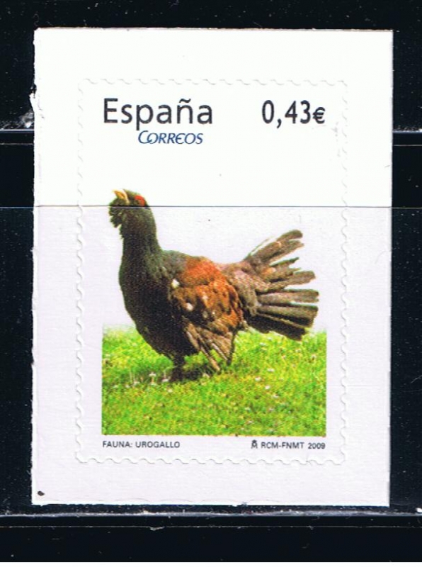Edifil  4467  Flora y Fauna.  
