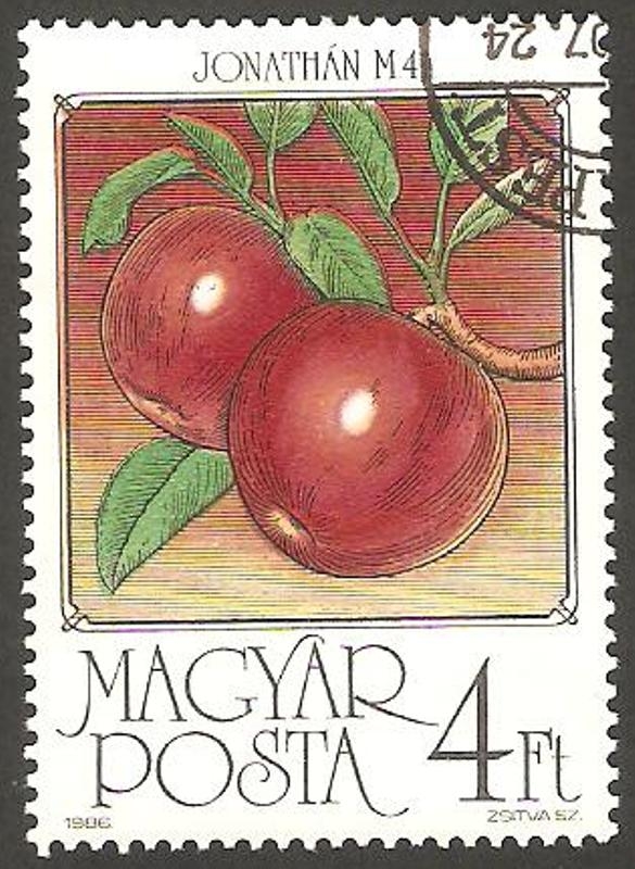 3061 - Manzanas