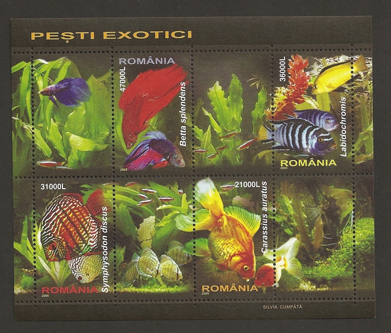 Peces exóticos