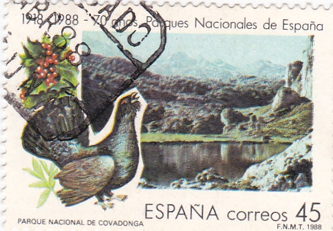 Parque Nacional de Covadonga      (W)