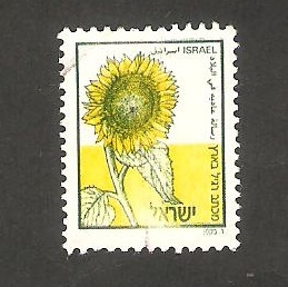 1028 - Girasol