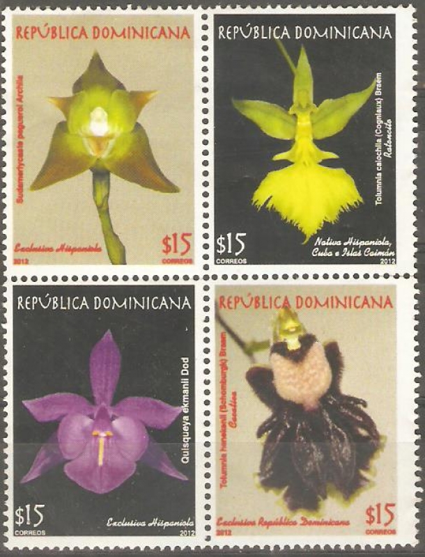 FLORES