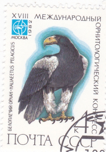AGUILA