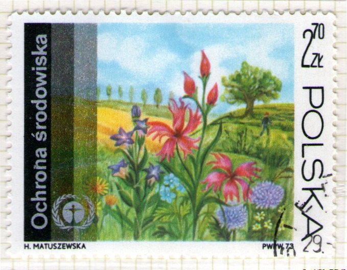 255 Flora