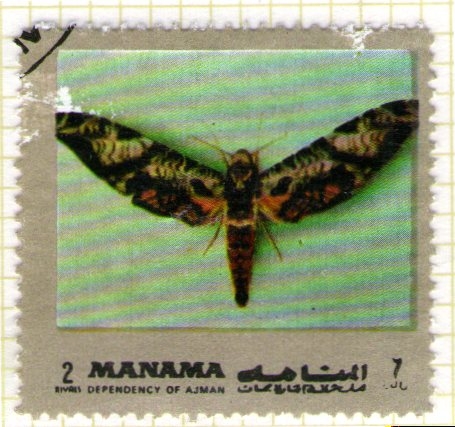 7 MANAMA. Dependencia de Ajman