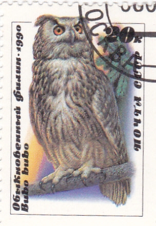 BUHO