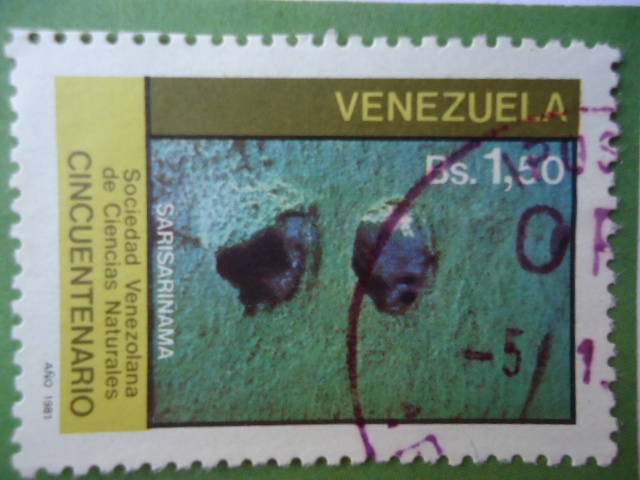 Cueva Sarisariñama - 50°Aniversario Sociedad Venezolana de Ciencias Naturales-Cincuentenario-¨Sarisa