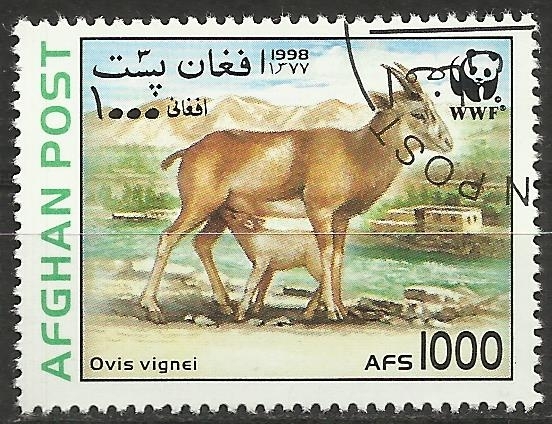 WWF - fauna, ovis vignei