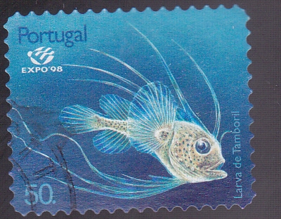 Larva de Tamboril   -Expo-98