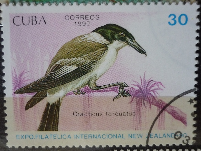 Cracticus torquatus - Expo Filatélica Int. New Zealand-90