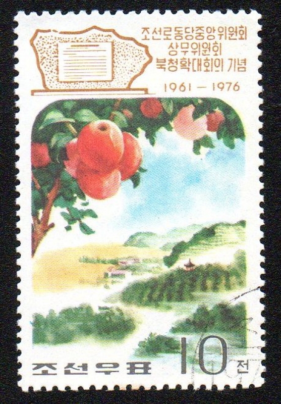 Flora y Fauna