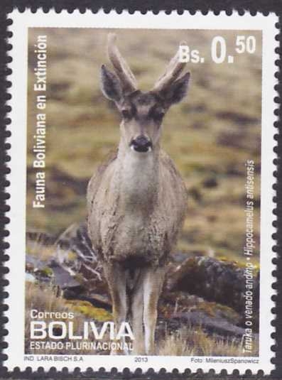 Fauna boliviana en extincion