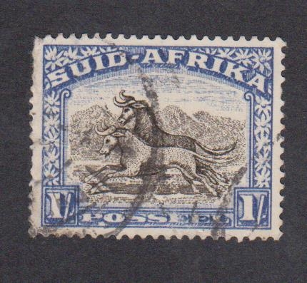 suidafrica