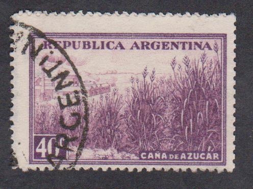 Caña de Azucar