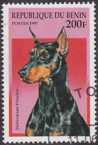 Perro - Dobermann