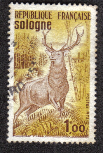 Solonge