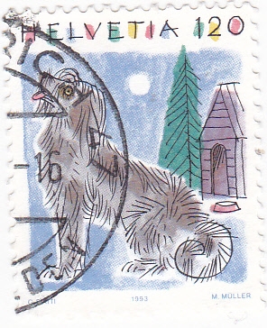 Ilustración -perro