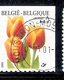 Tulipanes
