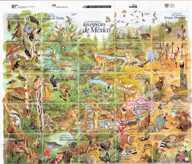 Conservemos las especies de México