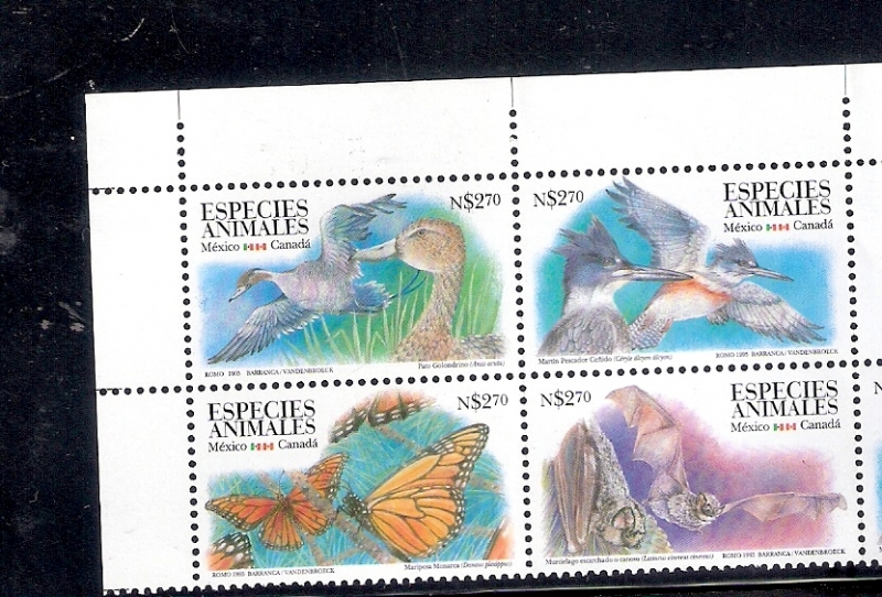 Especies migratorias México-Canadá